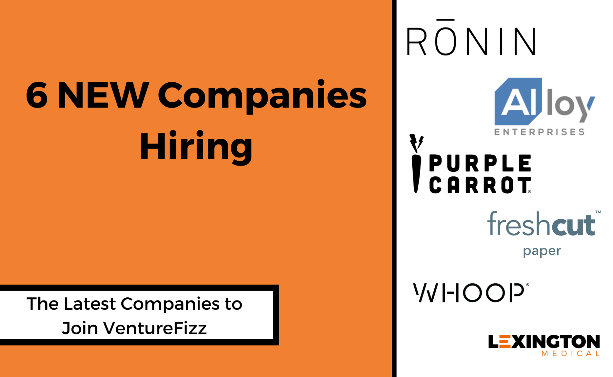 The Latest Companies Hiring on VentureFizz banner image