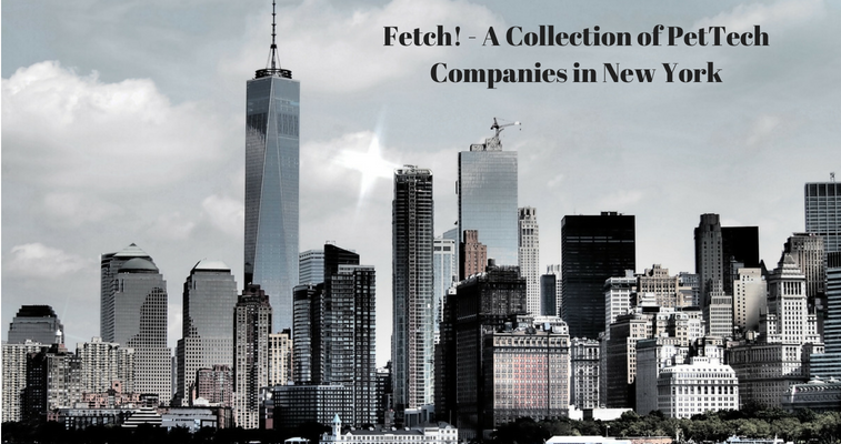 Fetch! - A Collection of PetTech Companies in New York banner image