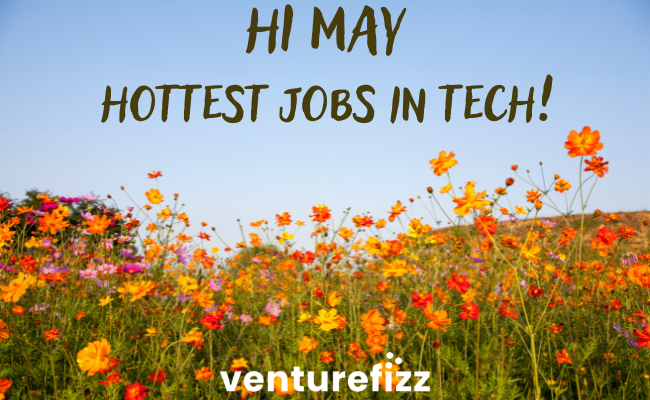 Hottest Jobs in Tech - No Joke April Edition banner image